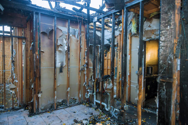 Professional Fire Damage Removal technician working in River Falls, WI